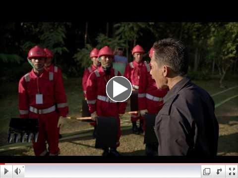 Peatlands & the UN REDD Programme in Indonesia