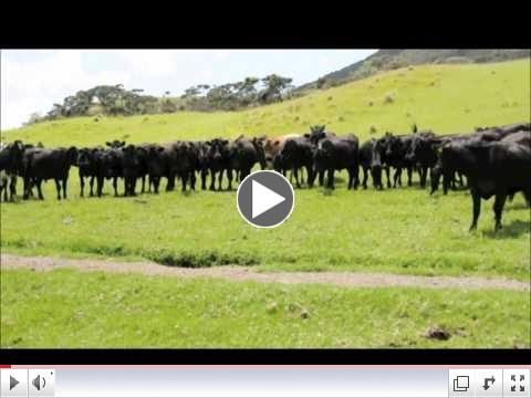 Remote-control round-up