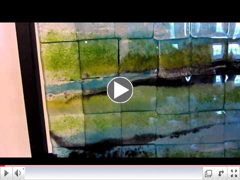 tidal flats at sunrise.mov