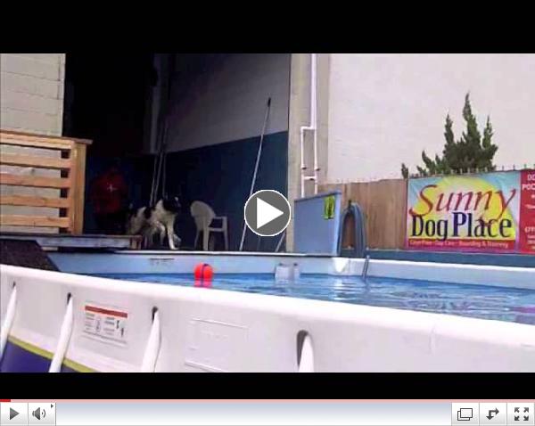 720p.mov