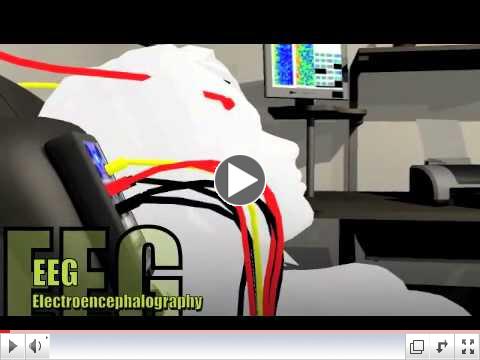 The Evolutionary Brain, Intro to Brainwave Optimization