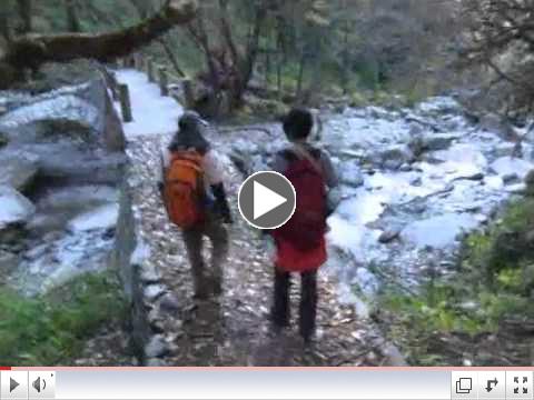 Chopta Trek