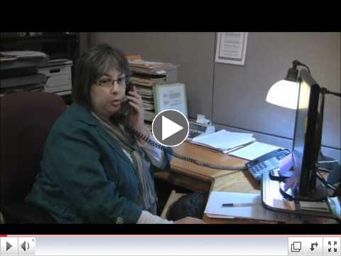 Winning Toshiba Phone-A-Saurus Entry