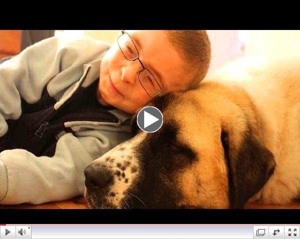 Xena The Warrior Puppy Finds Home With Autistic Boy