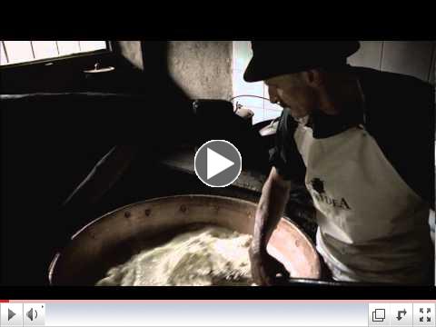 Satellite Studio - Bagoss, the alpine cheese - MANIVA