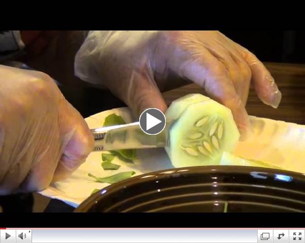 Gardening In Memory Care