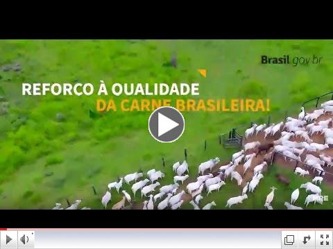 Video in Portuguese