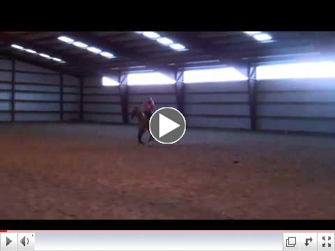 Cruz and Eileen practicing a reining pattern at clinic