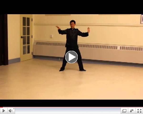 Huan Zhang 1 Set of Yang Style Tai Chi