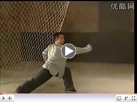 Chang Long Baji Quan