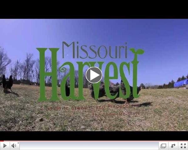 Missouri Harvest (Official Book Trailer) by Maddie Earnest and Liz Fathman