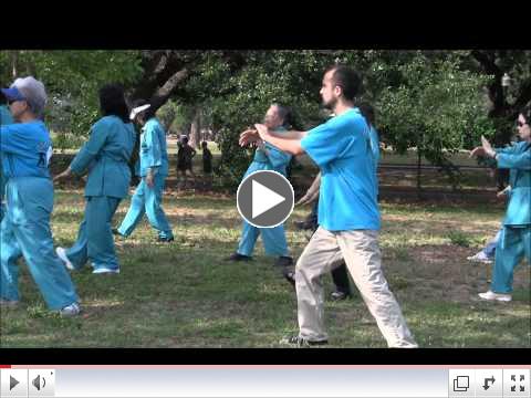WORLD TAI CHI DAY 2012 HOUSTON