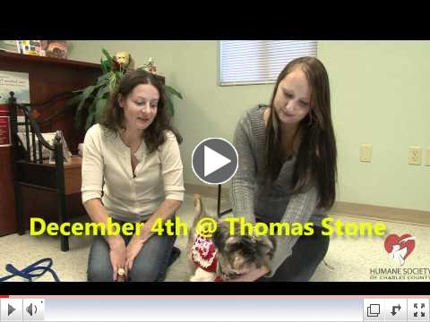 Humane Society of Charles County Maryland November Adoption Video