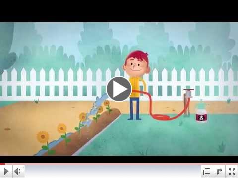 Stormwater Pollution The Dirty Truth: Home Activities