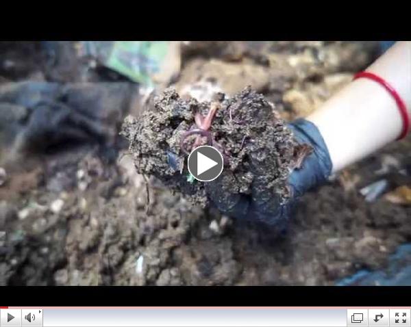 The Benefits of Vermicomposting