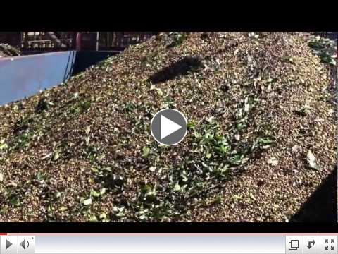 From the fields to pre washing and separation units