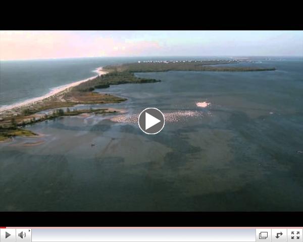 Magical Captiva Island