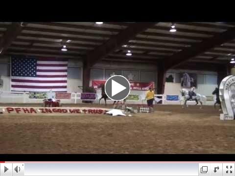 Largo Race at June 2014 Spring Show Virginia Presidential Paso Fino Horse Association