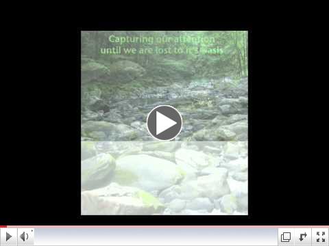 How the Unified Field Creates our Reality