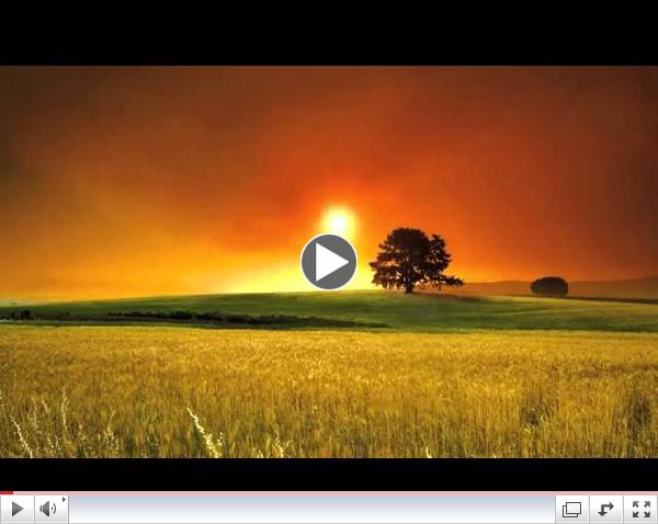 Quiet My Heart - Joey