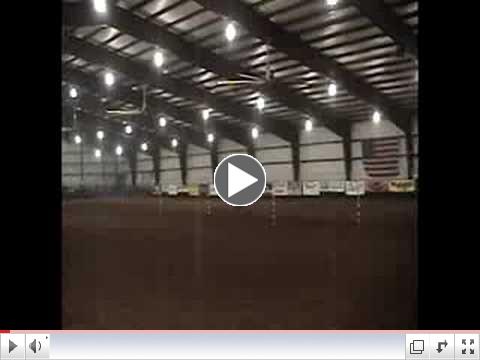 Automatic Pole Horse