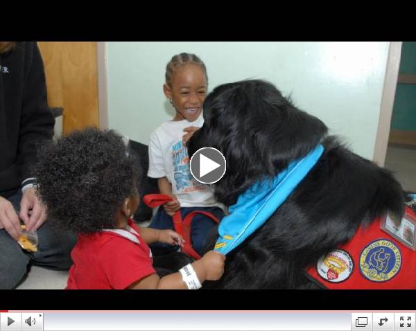 Maggie the Therapy Dog--West Tennessee Healthcare