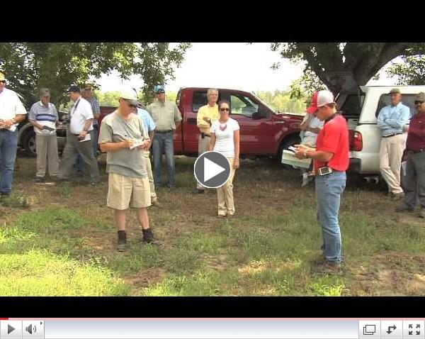 Georgia Tobacco Growers Deal With Too Much Rain