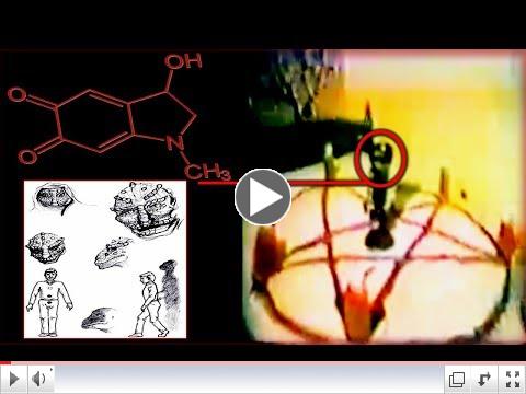 #RabbitHoleGate | The Alien Agenda 2029 - Adrenochrome Harvesting. (HIGH LEVEL WHISTLEBLOWERS)