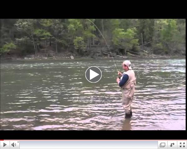 Ethan Albright Catches a Nice Brown in Higher Pine Creek Water