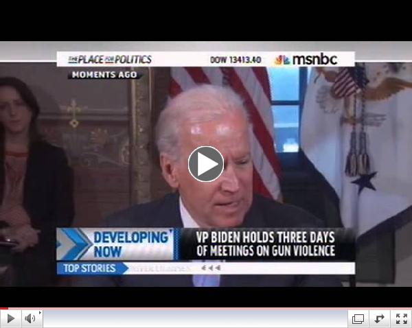 Biden: Obama Considering 'Executive Order' to Deal With Guns