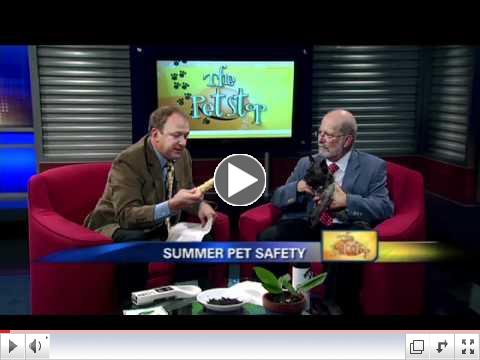 Summer Pet Safety is the topic on this weeks 