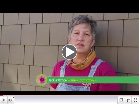 Installing a Rain Garden for Your Home