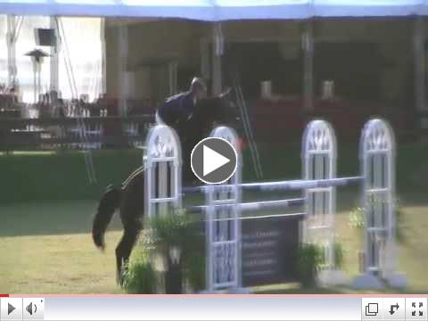 CVIDTV BLENHEIM3AREZZO
