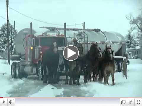 Amazing Horse Power - Horses Rescue Milk Truck