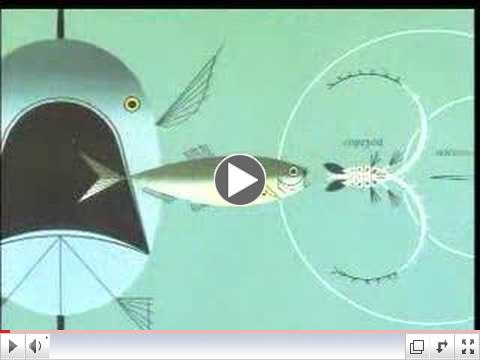 TODD OLDHAM'S HANDMADE MODERN - CHARLEY HARPER ESSAY