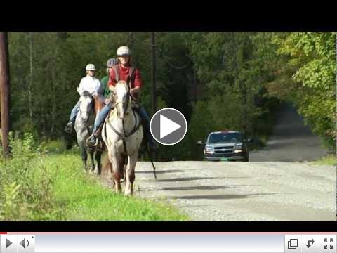 National Horse Safety on the Road Public Service Announcement (PSA)