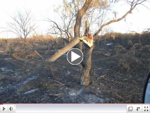 Joel & Shirley Lemley Ranch Fire