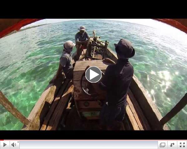 Diving Zanzibar