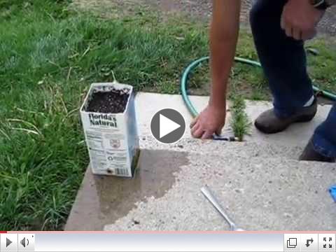 American Chestnut Demonstration Planting by New York chapter president Allen Nichols