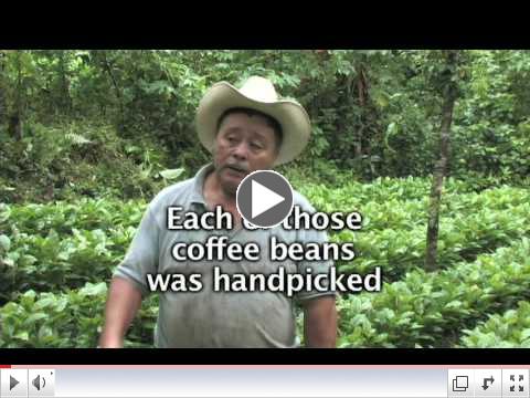 Part 1: From Crop to Cup: The LWR Coffee Project