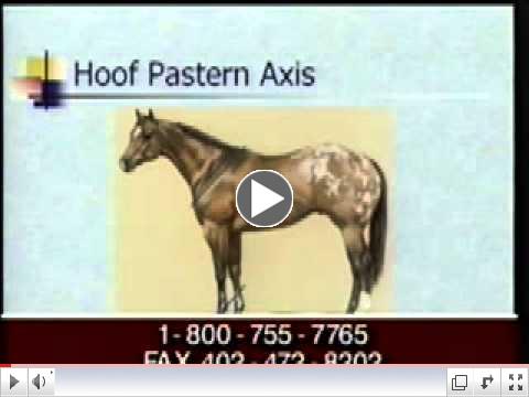 Evaluating the Horse Shoeing & Trimming Job, Part One, as seen on eXtension.org/Horses
