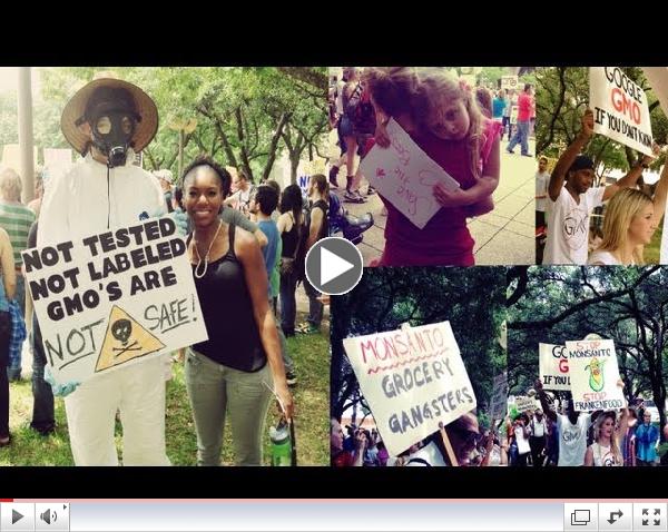 March Against Monsanto Live footage in Dallas, TX