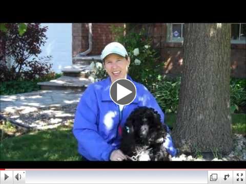 Marlene Keys - KEYS to Mastering Exercise