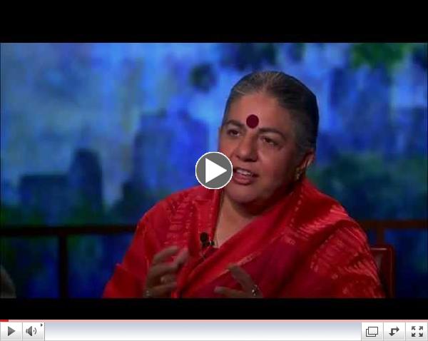 Vandana Shiva on the Problem with Genetically-Modified Seeds