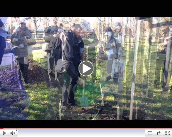 Tree Planting Ceremony Germany 2015
