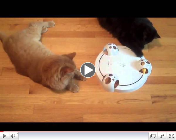 Smarthome - Frolicat PC1 POUNCE Rotating Cat Teaser