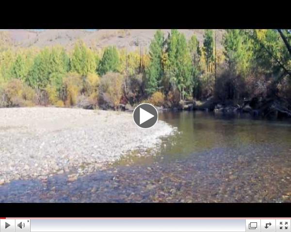 mongolia fly fishing