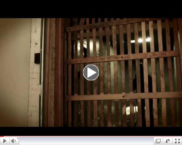 BOUND: Africans vs African Americans OFFICIAL TEASER TRAILER 2015