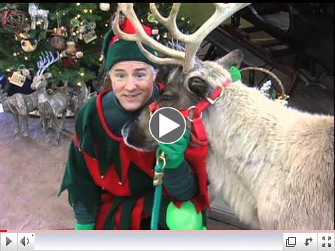 Elf Christmas Message