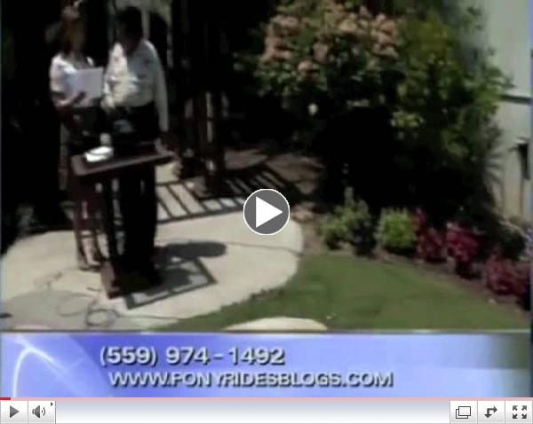 Learn about pricing of Wild Bill Pony Parties-KSEE TV NBC affiliate interviews of Wild Bill
